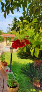 Villetta a pochi minuti da Gallipoli - Parabita - 9