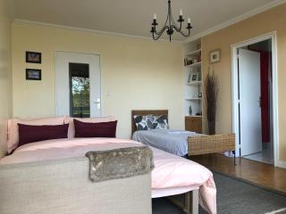 Studio 30m2 à 1O min du métro Pont de Sèvres L9 - Sèvres - 9