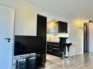 Cozy Apartment by Keflavik Airport - 6