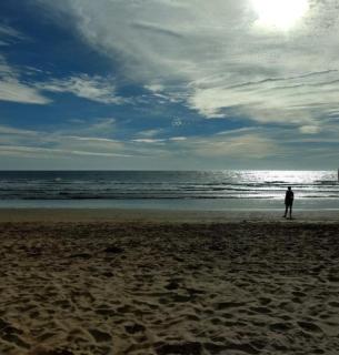 El rincón de las golondrinas - 1