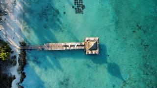 Bayahibe Cadaques Caribe Apartment - 3