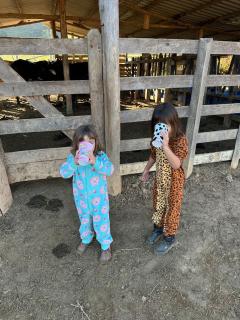 Casa de Campo Pé da Serra - Sitio em Campos Novos de Cunha - 6