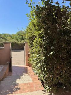 Casa Athena - Arzachena - 4