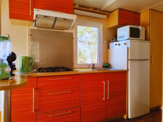 Glamping Frog Farm - Foz do Sousa - 2