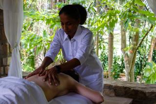 Bougainvillea Retreat - 6