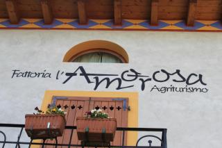 Fattoria l'Amorosa - Sementina - 1