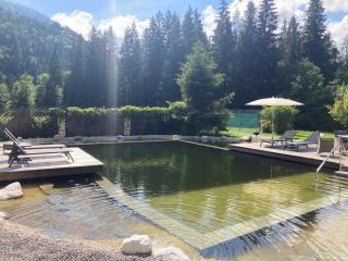 Naturhotel Schütterbad - Unken - 8