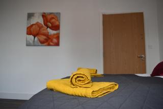 Beech Apparent lovely spacious double room - Liverpool - 9
