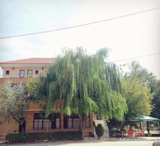 Bar Restaurant Hotel Drraska - Maliq - 0