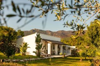 Casa Venadita - Tarifa - 7