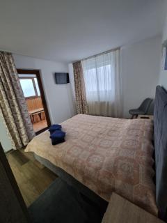 Vila Roxana Busteni - Buşteni - 7