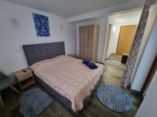Vila Roxana Busteni - Buşteni - 6