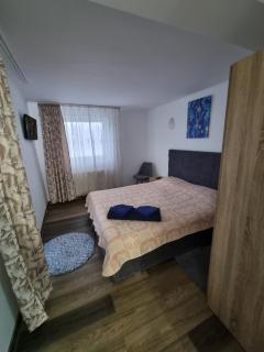 Vila Roxana Busteni - Buşteni - 5