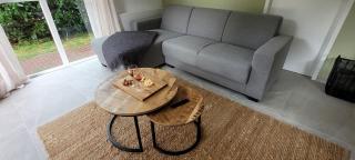 Evergreen wellness met sauna & hottub - Ewijk - 2