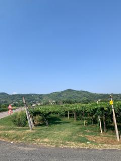 Residenza Viti del Durello Locazione turistica - - 5