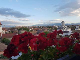 SIBIU Bach Penthouse - 6