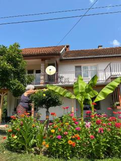 Apartmani Simonovic - 5