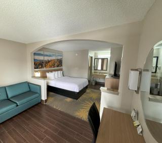 Days Inn & Suites by Wyndham Tuscaloosa - Univ. of Alabama - Tuscaloosa - 7
