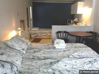WhiteTail Suite - Misty River Lodge - - 4