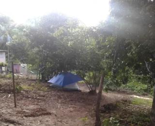 Camp do Riso - Mata de Sao Joao - 3