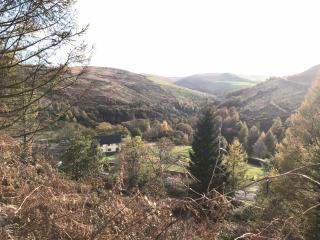 Afan forest-Cregan Cottage-Pet friendly - 7