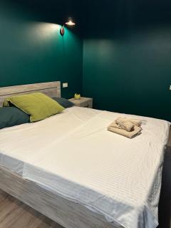 Comfort city 2 room apartment with mountains view - 3