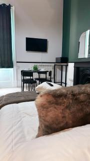 Studio apartment - The Emerald - 5