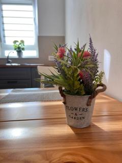 Adela Apartament - Braşov - 2