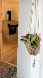 Style Boho Reethaus Wohnung mit SUP und Kanu - - 7