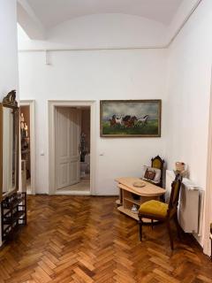 Apartment in heart of Cluj for UNTOLD - Cluj-Napoca - 2