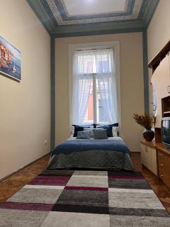 Apartment in heart of Cluj for UNTOLD - Cluj-Napoca - 1