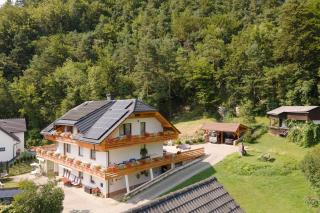 Fine Stay Apartments - Žirovnica - 2