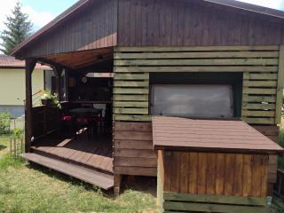 Nad rybníkem Hnačov - rodinný rekreační areál - 9