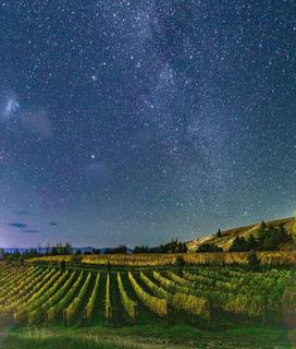 Cosy Rural Retreat - Cromwell - 4