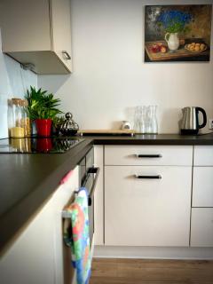 43m2 Apartament Saski- Blisko Starówki i Dworca Centralnego- Elektoralna 19a - 1