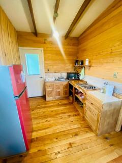 Cabañas Lugar de Refugio - Queilén - 9