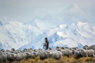 The Shearer's Quarters - Lake Tekapo - 1