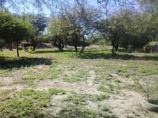 Finca ATALAYA - Santiago del Estero - 6