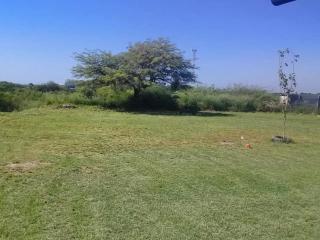Finca ATALAYA - Santiago del Estero - 3