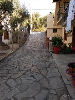 Villa Asimidou - Agia Paraskevi - 5