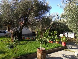 Villa Asimidou - Agia Paraskevi - 4