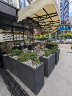 Glorious apartment in Batumi - Batumi - 1
