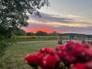 BORDEAUX Château Lafleur - 4