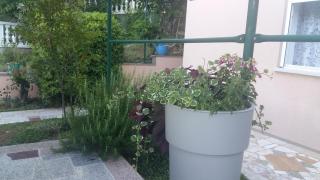 Apartman Anna Opatija - Opatija (Abbazia) - 4