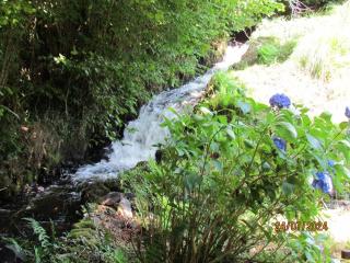 Moulin du XIIème siècle - 5