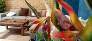 Charming & Elegant 4BHK Villa - 9