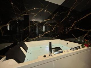 Prestige Jacuzzi & Clim, parking - Roanne centre-ville - Roanne - 1
