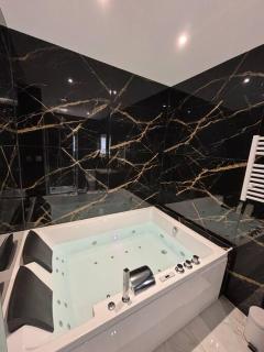 Prestige Jacuzzi & Clim, parking - Roanne centre-ville - Roanne - 2