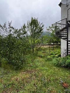 House in the Riverside - 3