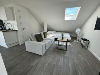 Studio eucalyptus charmant élégant et fonctionnel Centre ville - Mulhouse - 8